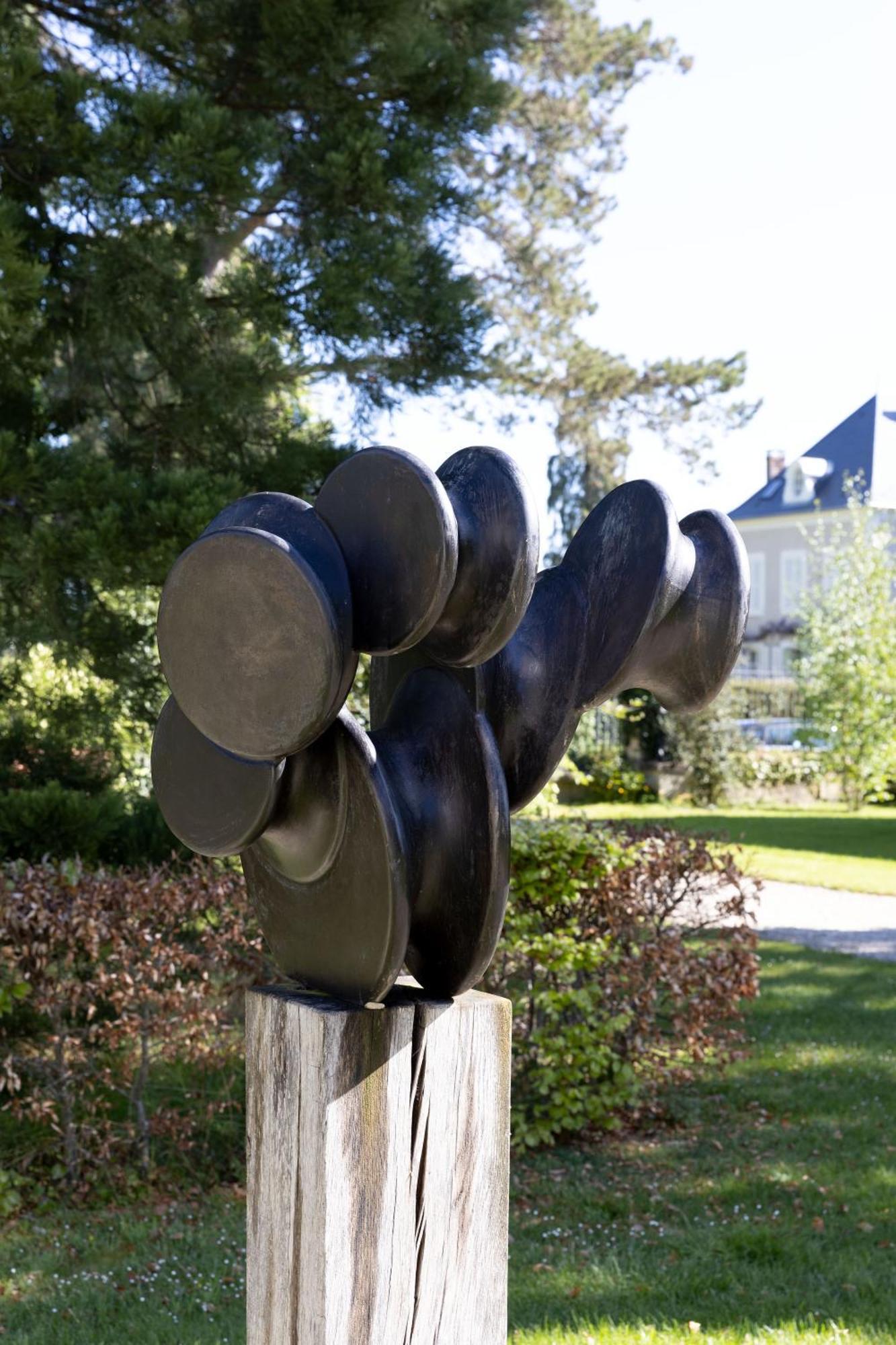 Chateau De La Resle - Design Hotels Montigny-la-Resle Exterior photo